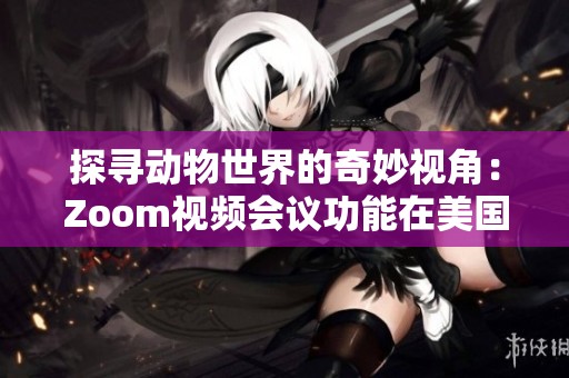 探寻动物世界的奇妙视角：Zoom视频会议功能在美国的应用分析