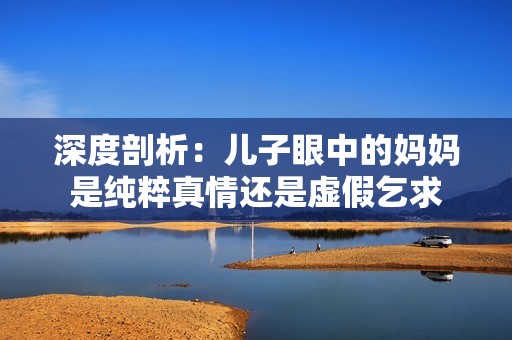 深度剖析：儿子眼中的妈妈是纯粹真情还是虚假乞求