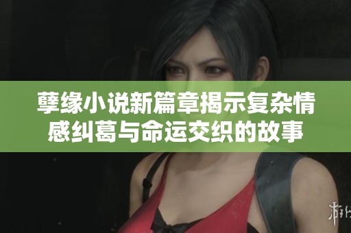 孽缘小说新篇章揭示复杂情感纠葛与命运交织的故事