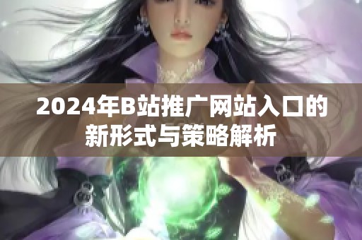 2024年B站推广网站入口的新形式与策略解析