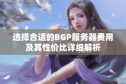选择合适的BGP服务器费用及其性价比详细解析
