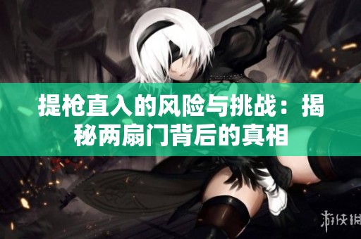 提枪直入的风险与挑战：揭秘两扇门背后的真相