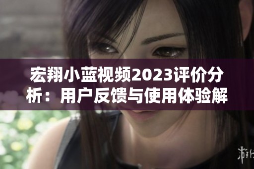 宏翔小蓝视频2023评价分析：用户反馈与使用体验解读