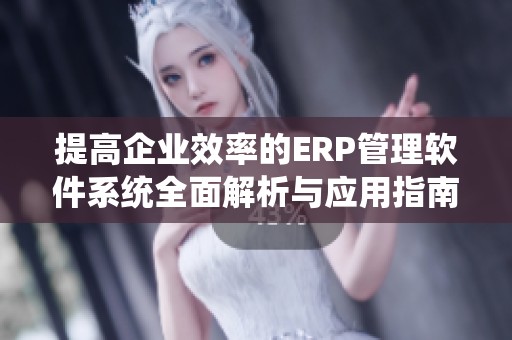 提高企业效率的ERP管理软件系统全面解析与应用指南