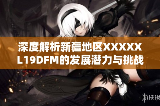 深度解析新疆地区XXXXXL19DFM的发展潜力与挑战