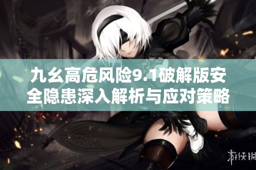 九幺高危风险9.1破解版安全隐患深入解析与应对策略