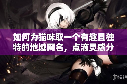 如何为猫咪取一个有趣且独特的地域网名，点滴灵感分享