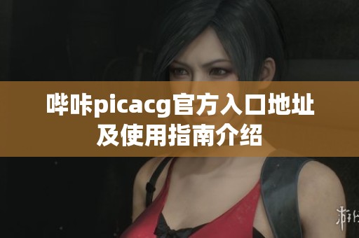 哔咔picacg官方入口地址及使用指南介绍