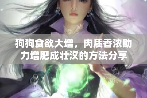 狗狗食欲大增，肉质香浓助力增肥成壮汉的方法分享