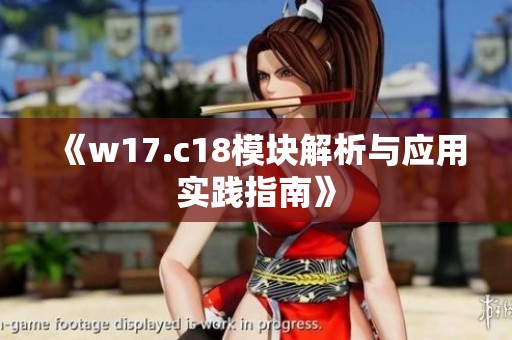 《w17.c18模块解析与应用实践指南》