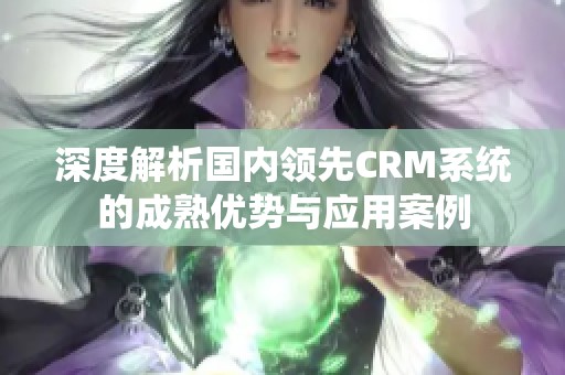 深度解析国内领先CRM系统的成熟优势与应用案例