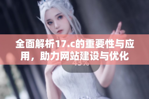 全面解析17.c的重要性与应用，助力网站建设与优化