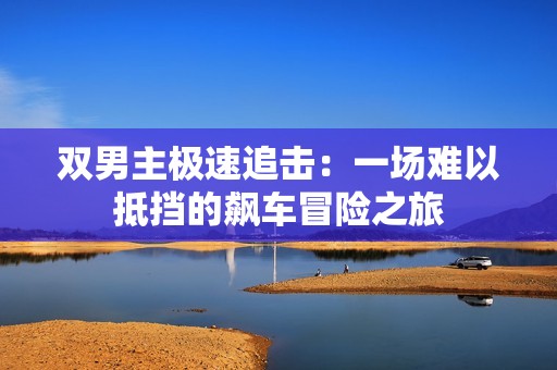 双男主极速追击：一场难以抵挡的飙车冒险之旅