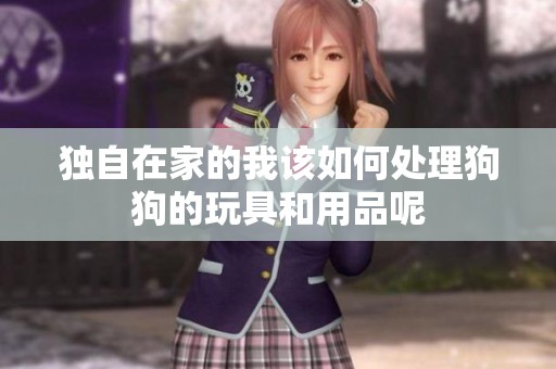 独自在家的我该如何处理狗狗的玩具和用品呢