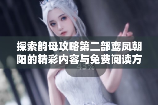 探索韵母攻略第二部鸾凤朝阳的精彩内容与免费阅读方式
