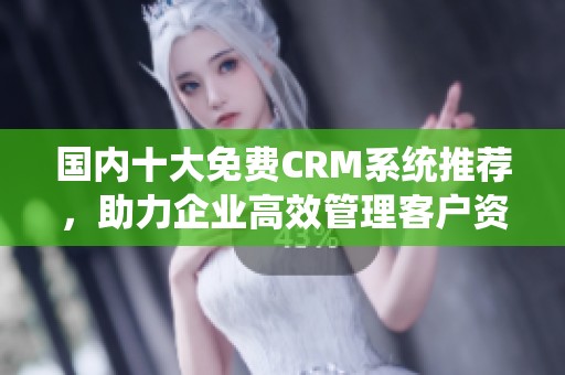 国内十大免费CRM系统推荐，助力企业高效管理客户资源