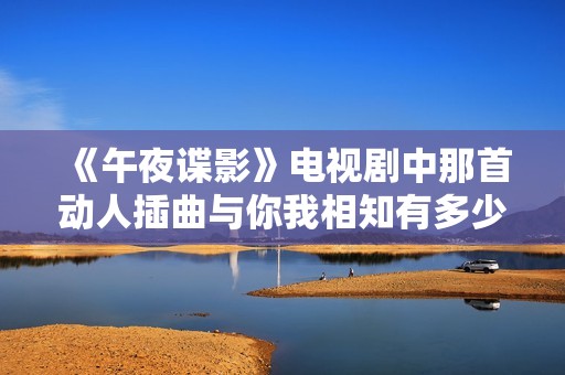 《午夜谍影》电视剧中那首动人插曲与你我相知有多少共鸣