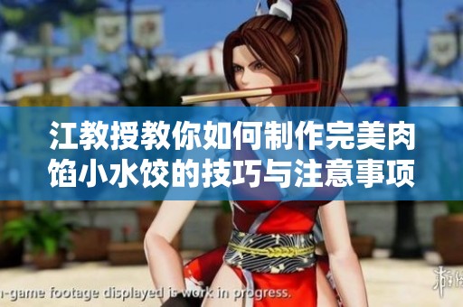 江教授教你如何制作完美肉馅小水饺的技巧与注意事项