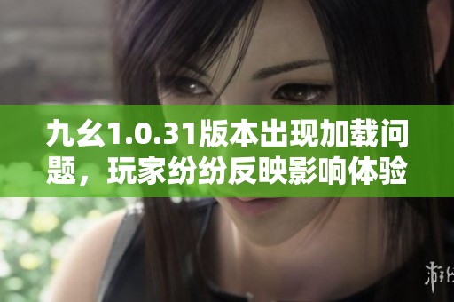 九幺1.0.31版本出现加载问题，玩家纷纷反映影响体验