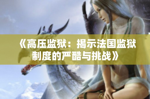 《高压监狱：揭示法国监狱制度的严酷与挑战》