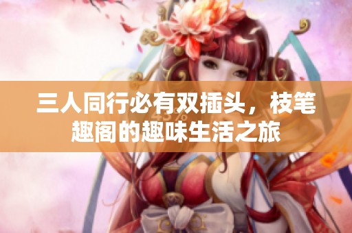 三人同行必有双插头，枝笔趣阁的趣味生活之旅
