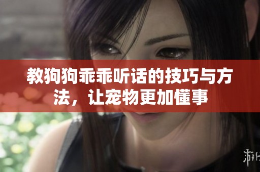 教狗狗乖乖听话的技巧与方法，让宠物更加懂事