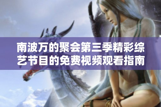南波万的聚会第三季精彩综艺节目的免费视频观看指南