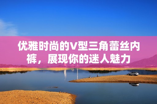优雅时尚的V型三角蕾丝内裤，展现你的迷人魅力
