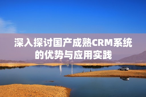 深入探讨国产成熟CRM系统的优势与应用实践