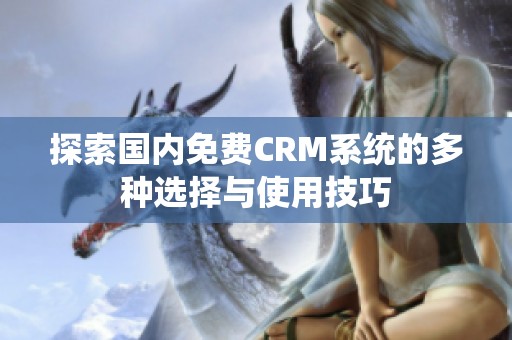 探索国内免费CRM系统的多种选择与使用技巧