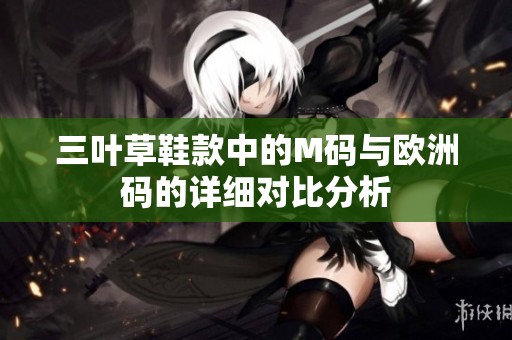 三叶草鞋款中的M码与欧洲码的详细对比分析