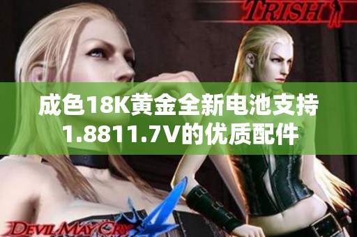 成色18K黄金全新电池支持1.8811.7V的优质配件