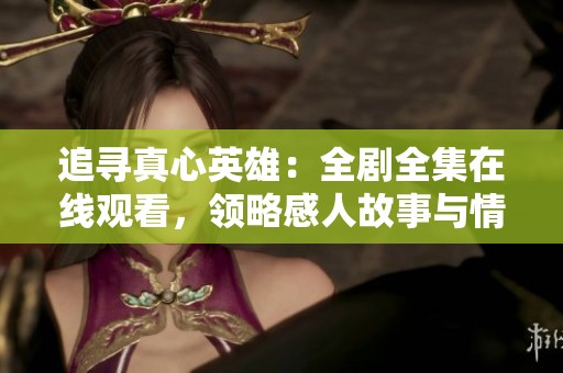 追寻真心英雄：全剧全集在线观看，领略感人故事与情感交融