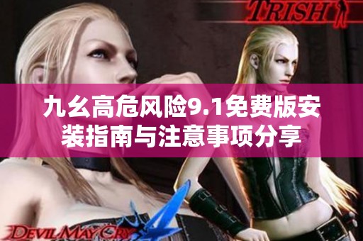 九幺高危风险9.1免费版安装指南与注意事项分享