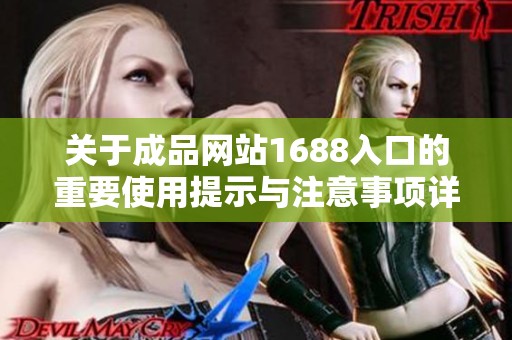 关于成品网站1688入口的重要使用提示与注意事项详解