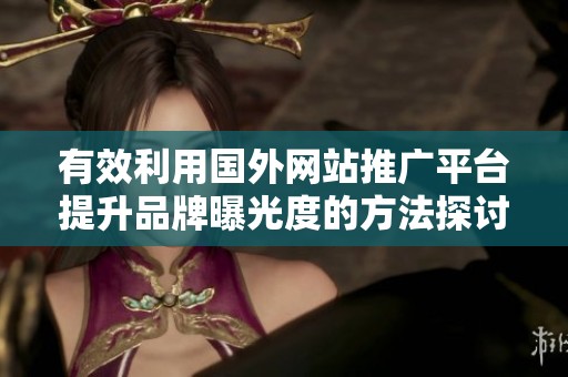 有效利用国外网站推广平台提升品牌曝光度的方法探讨