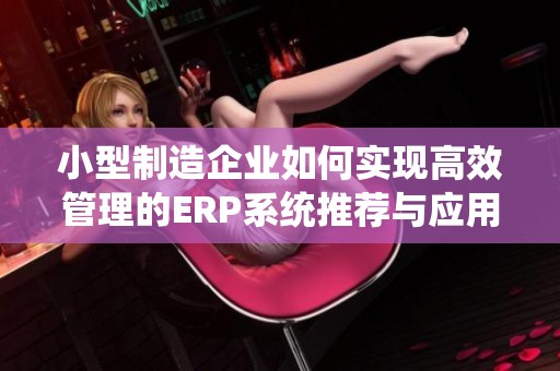 小型制造企业如何实现高效管理的ERP系统推荐与应用分析
