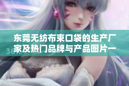 东莞无纺布束口袋的生产厂家及热门品牌与产品图片一览