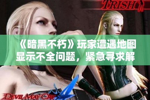 《暗黑不朽》玩家遭遇地图显示不全问题，紧急寻求解决对策