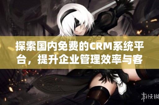 探索国内免费的CRM系统平台，提升企业管理效率与客户关系维护