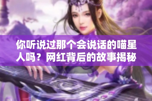 你听说过那个会说话的喵星人吗？网红背后的故事揭秘