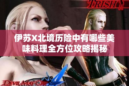 伊苏X北境历险中有哪些美味料理全方位攻略揭秘