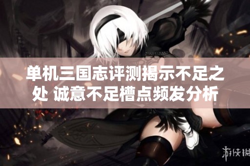 单机三国志评测揭示不足之处 诚意不足槽点频发分析