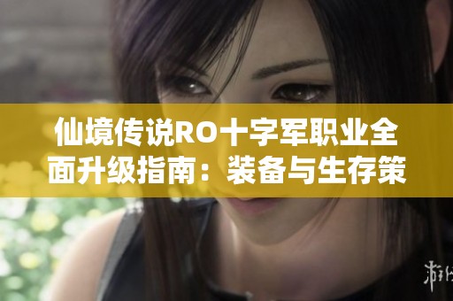 仙境传说RO十字军职业全面升级指南：装备与生存策略详尽分析