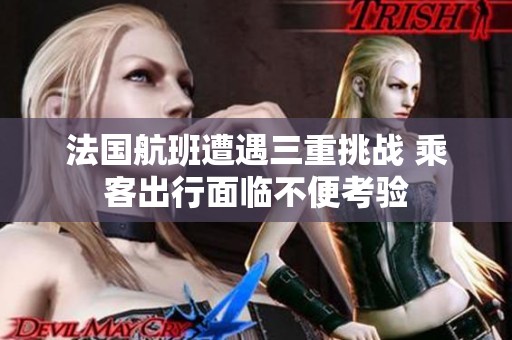 法国航班遭遇三重挑战 乘客出行面临不便考验
